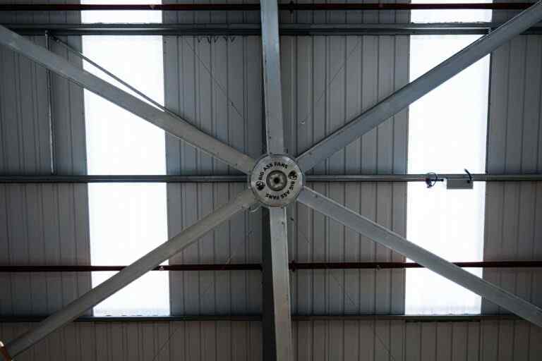 DSCF6985 (1)